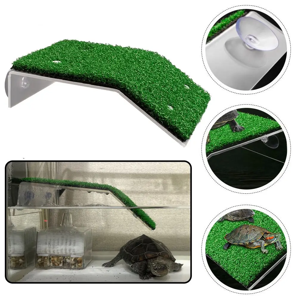 Plataforma de Basking para Tartarugas com Ventosas e Gramado Simulado - Imagem 2