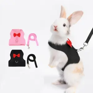 colete e guia ajustável para coelhos