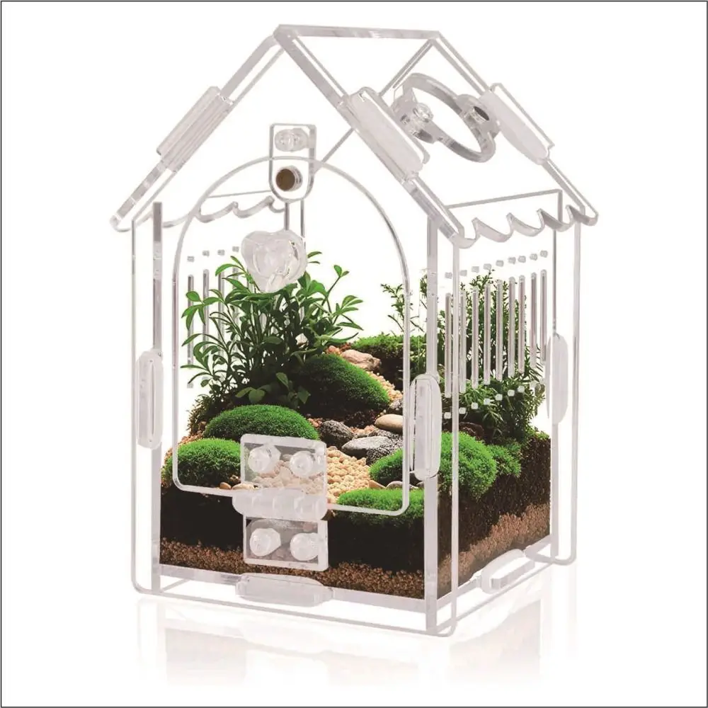 Terrário para Aranha Saltadora com Abertura Frontal Removível - Imagem 3