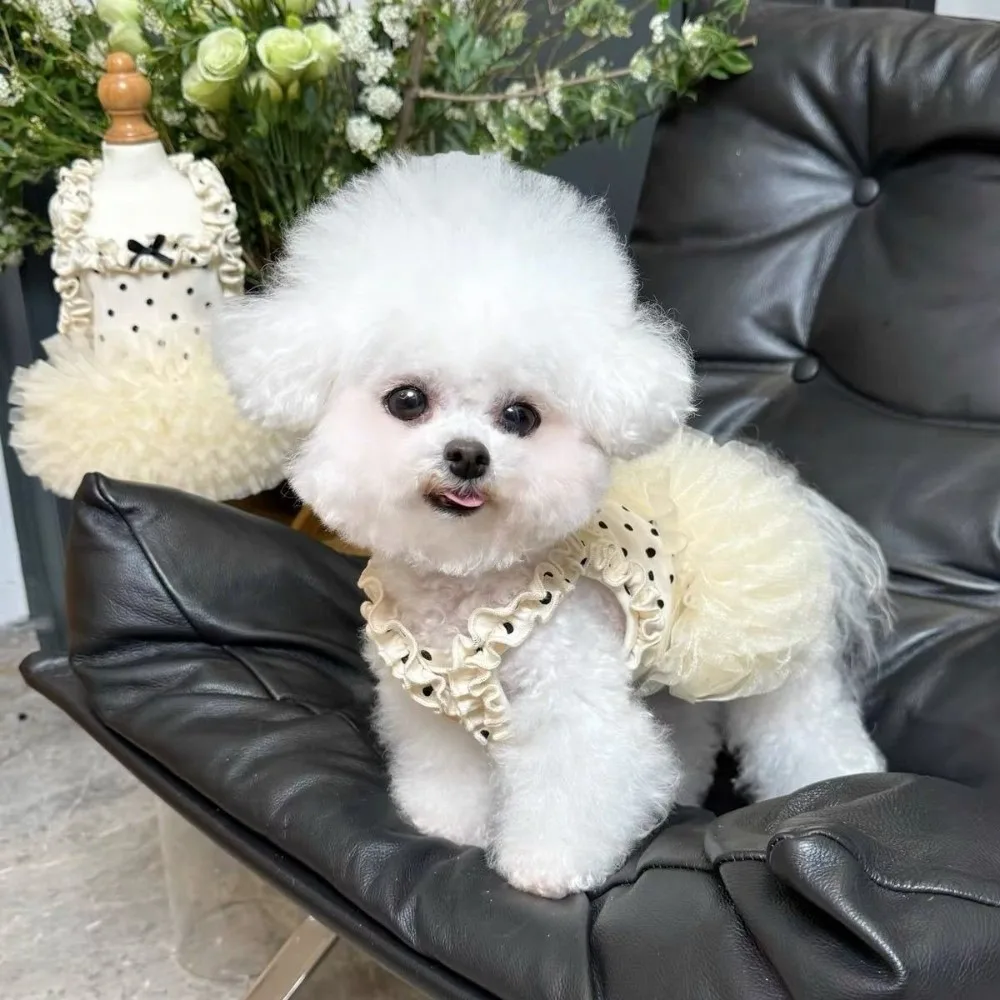 Vestido para Cães e Gatos Pequenos de Poliéster Respirável - Imagem 4
