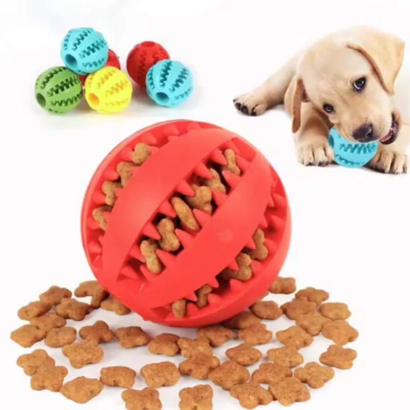 brinquedo bola de borracha para cães
