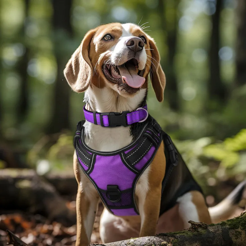 Coleira para Cães de Nylon Acolchoada com Faixa Refletiva para Passeio Noturno - Imagem 3