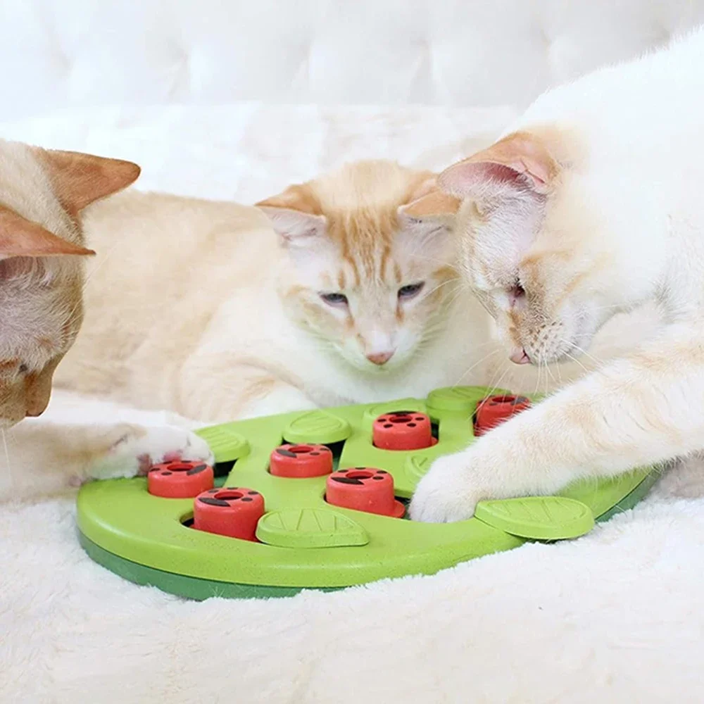 Quebra-cabeça Interativo para Gatos com 14 Compartimentos - Imagem 5