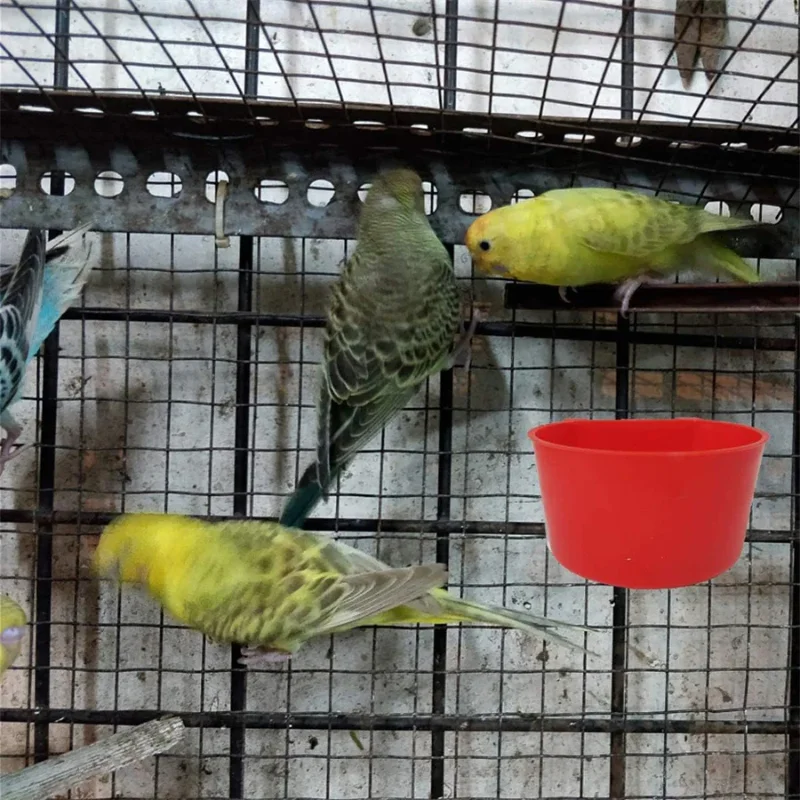 Alimentador para Aves com Ganchos Kit 12 Peças para Gaiola - Imagem 4