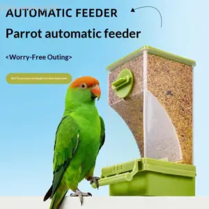 alimentador automático transparente para pássaros