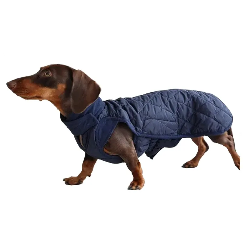 casaco de inverno para cães dachshund