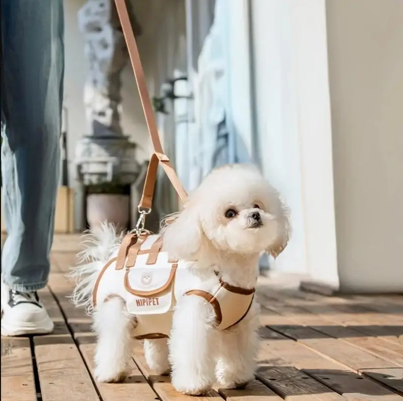 Arnês Mochila para Cães Pequenos de Corpo Inteiro - Image 2