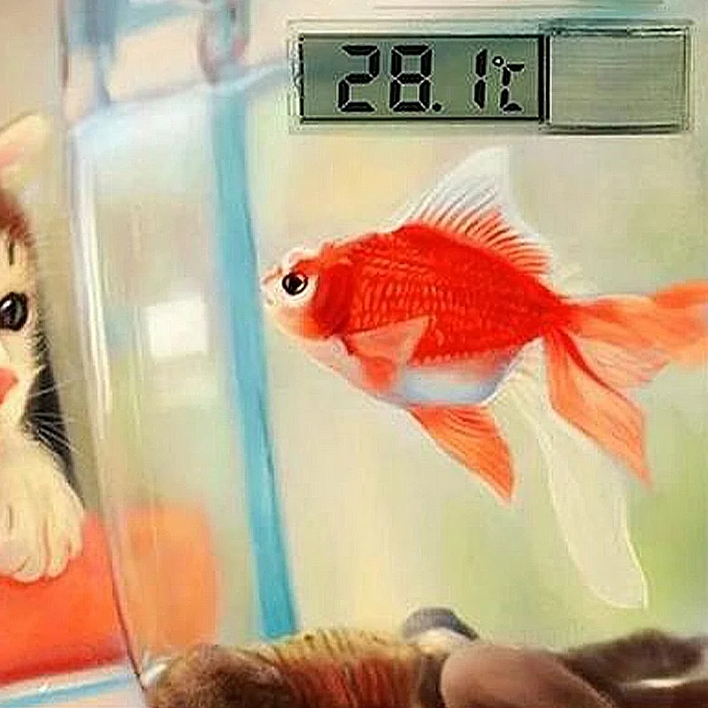 Termômetro Digital para Aquário com Display LCD à Prova D'Água - Imagem 3