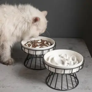 tigela de cerâmica elevada para gatos e cães