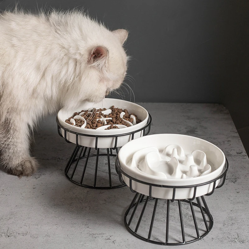 tigela de cerâmica elevada para gatos e cães