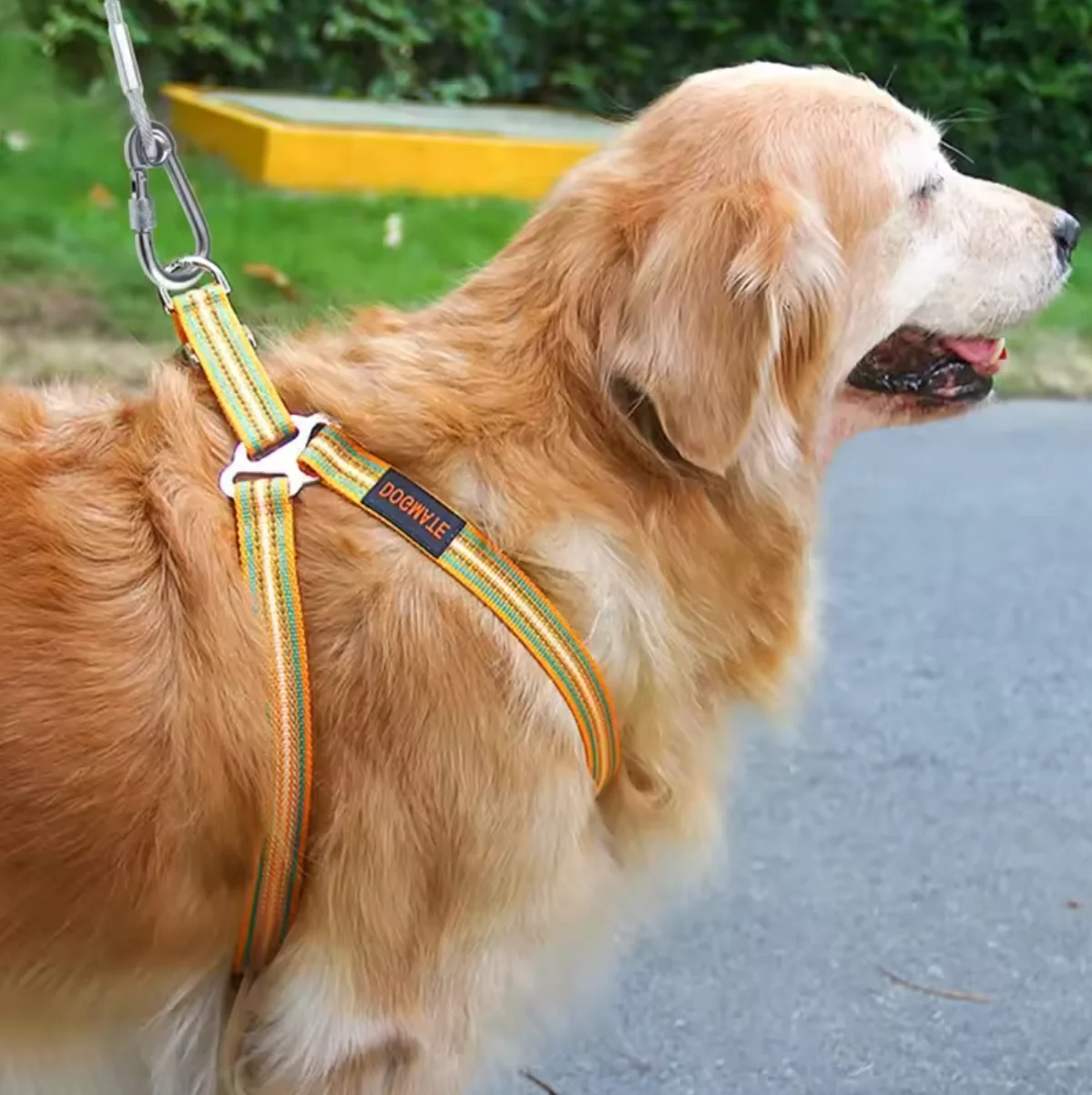 Trelas Duplas de Aço para Cães 4.6m com Fivela de Metal - Imagem 6