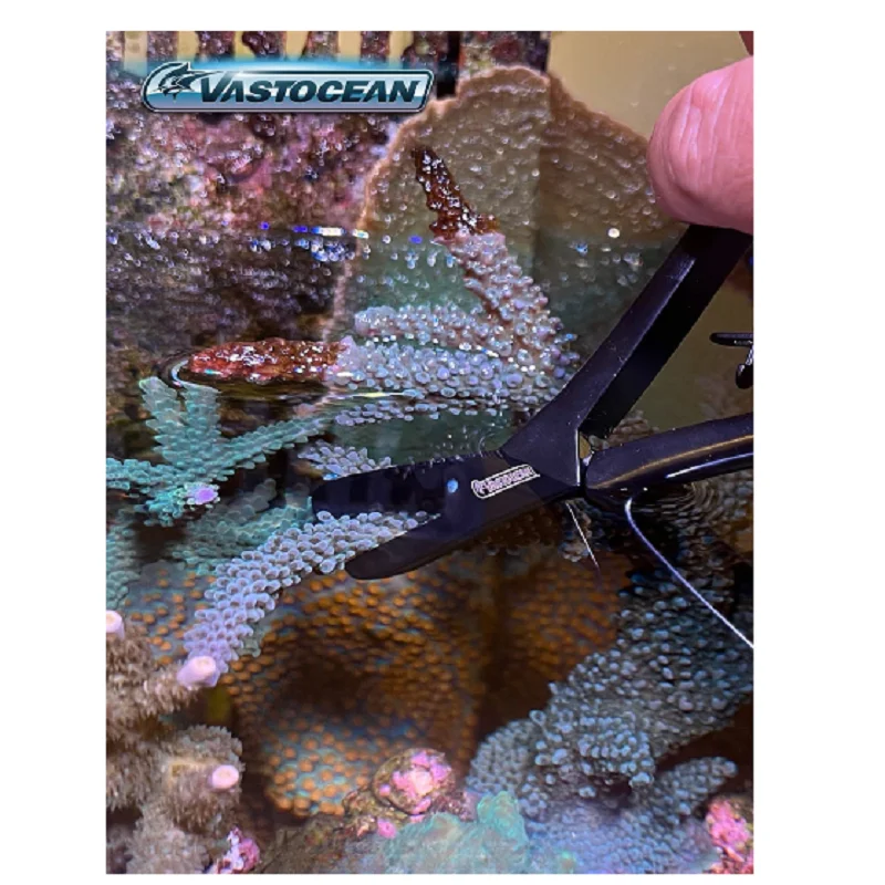 Tesoura para Coral VASTOCEAN Aço Inoxidável SPS para Aquário - Imagem 5