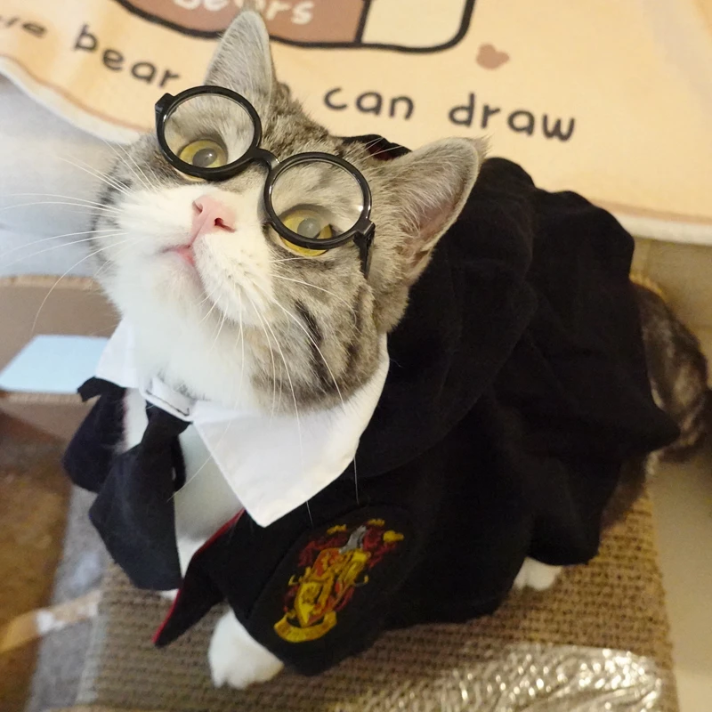 Chapéu Boina para Gatos com Gravata, Acessório para Fantasia - Imagem 4