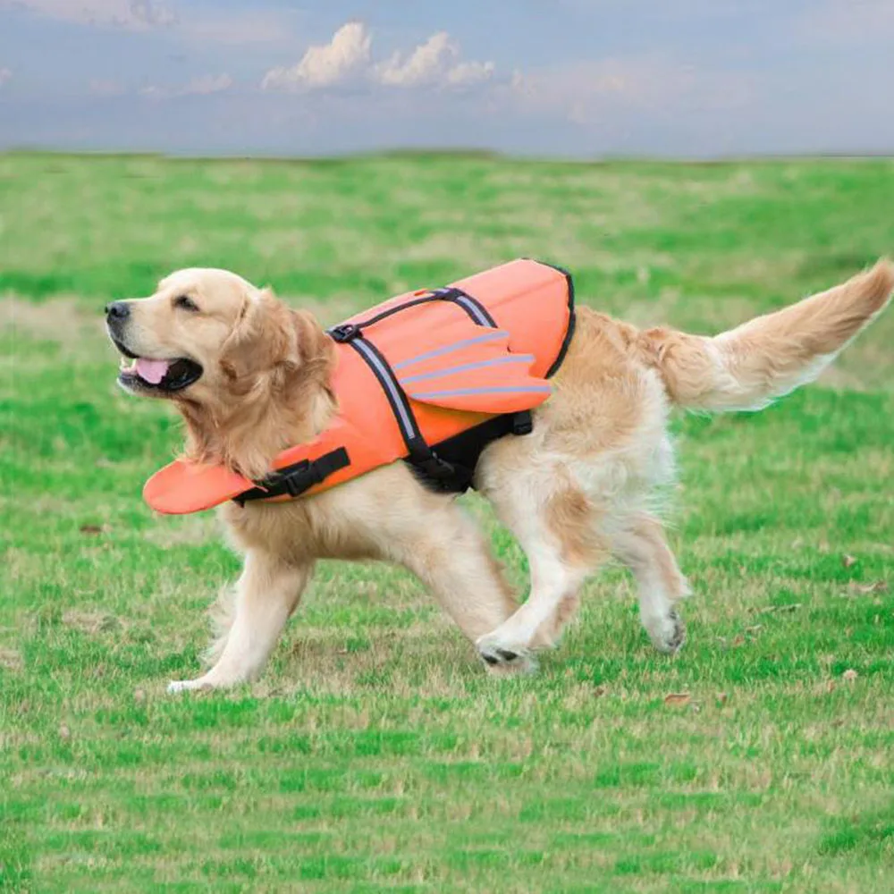 Colete Salva-Vidas para Cães com Alça para Natação e Praia - Image 4
