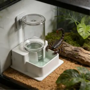 alimentador automático para répteis