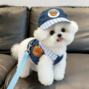 colete jeans para cães e gatos pequenos