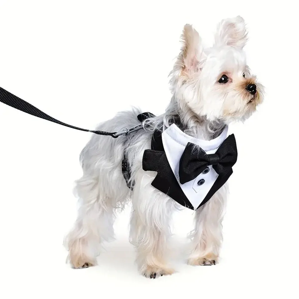 Camisa Smoking para Cães Pequenos com Gravata Borboleta - Imagem 2