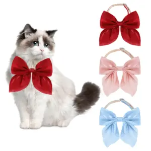 coleira para gatos com gravata borboleta