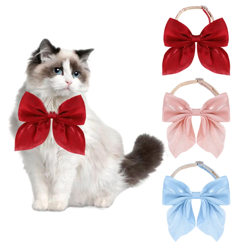 coleira para gatos com gravata borboleta