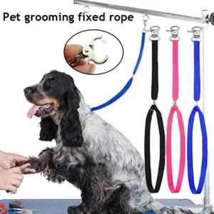 corda de tosa ajustável para cães e gatos