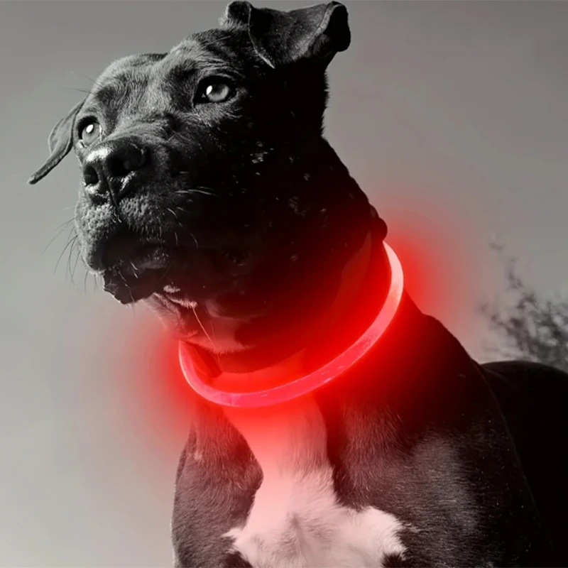 Coleira LED para Cães e Gatos Recarregável USB Luminosa - Image 3