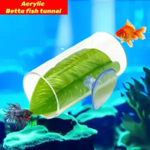 túnel acrílico para peixe betta