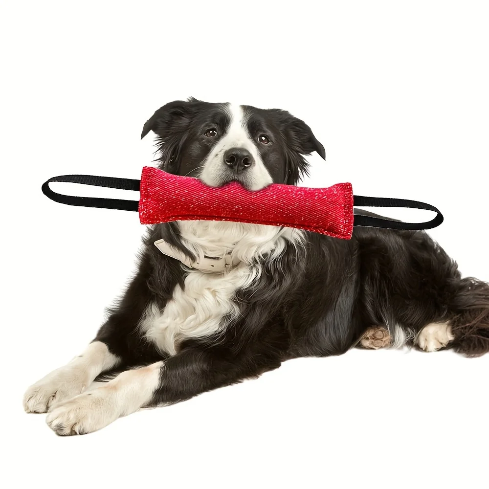 Vara de Mordida para Cães com Alça Dupla de Juta - Imagem 3
