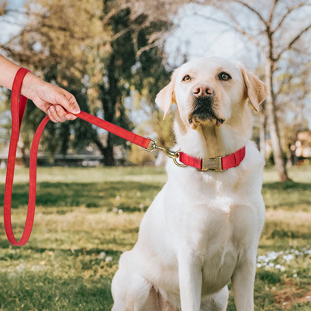 Coleira e Guia para Cães Pequenos e Médios de Couro PU Personalizável - Imagem 5