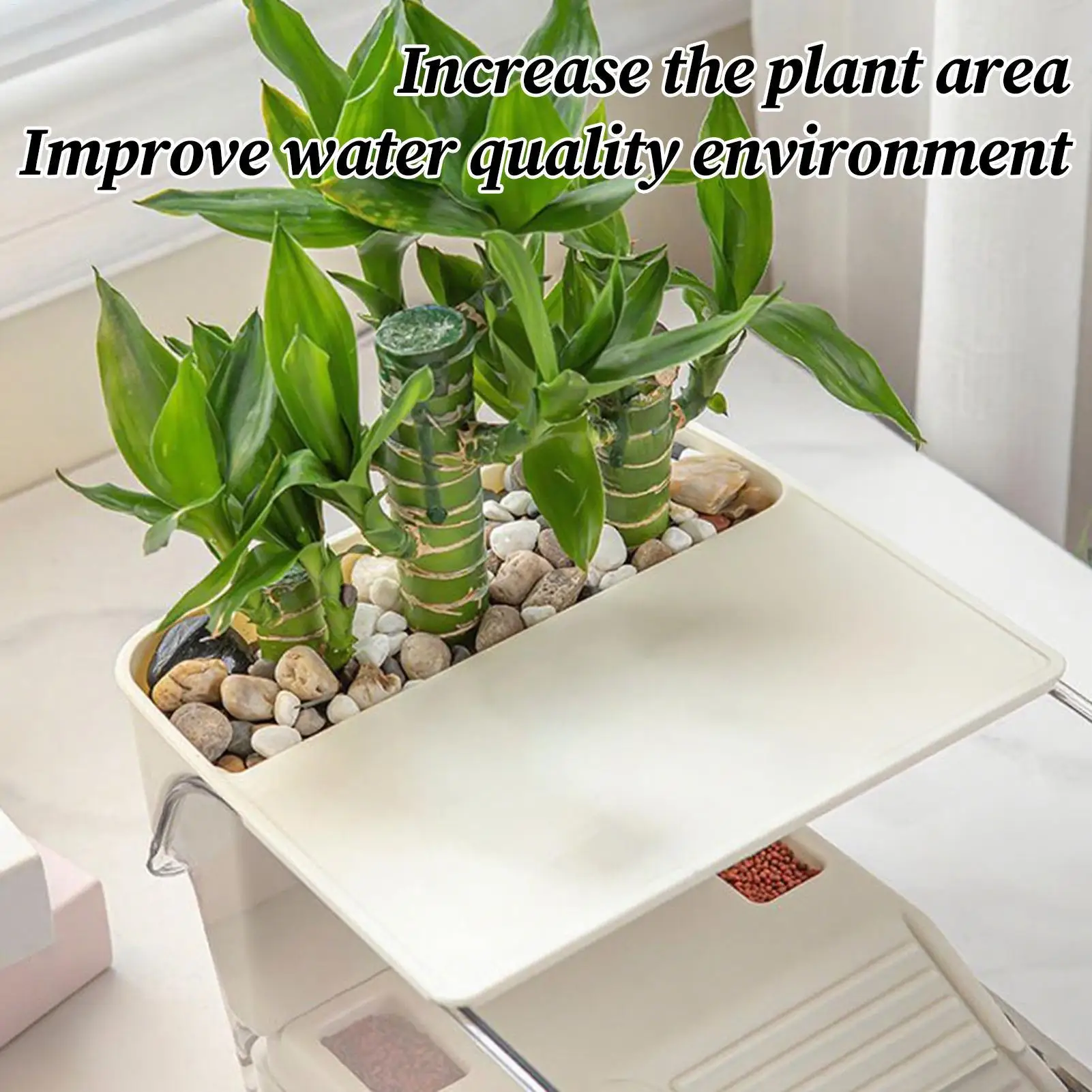 Terrário Multifuncional Transparente para Tartarugas e Répteis - Imagem 4