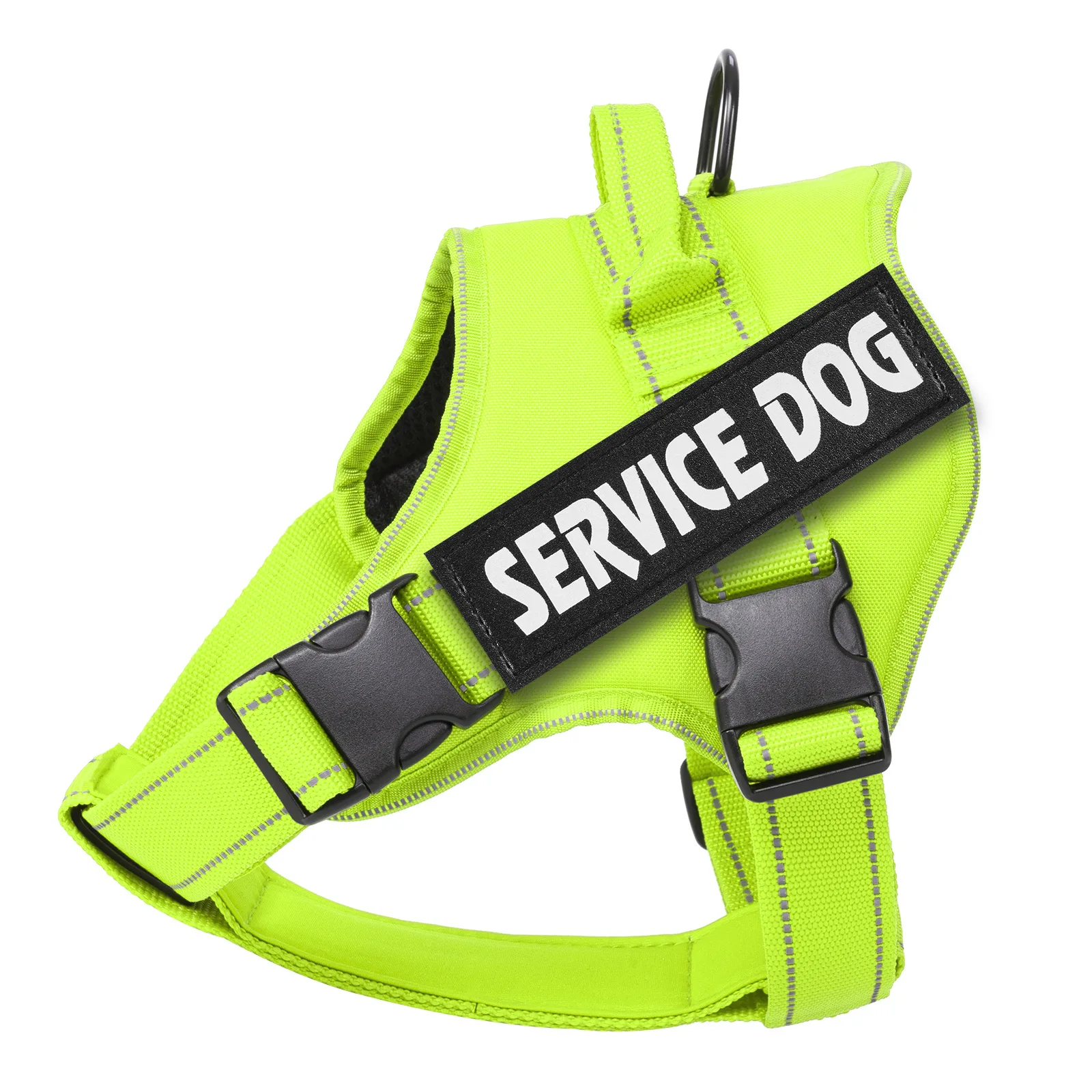 Coleira Ajustável para Cães com Nome e Telefone Personalizáveis - Imagem 2