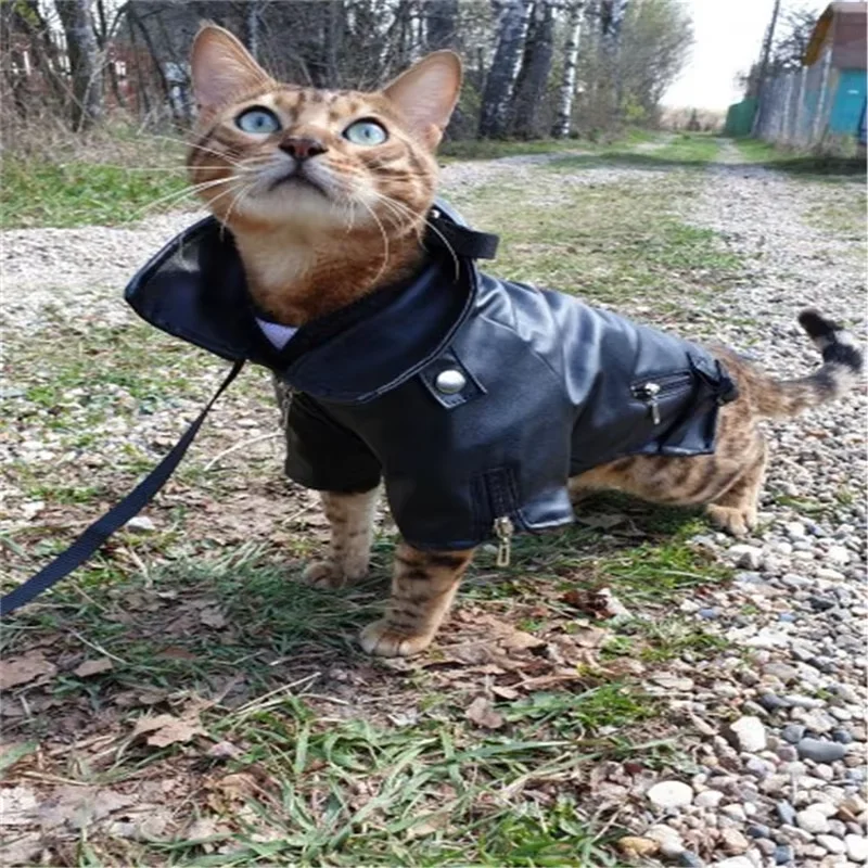 Casaco para Cães de Couro PU Preto Impermeável para Filhotes e Pequenos - Imagem 4