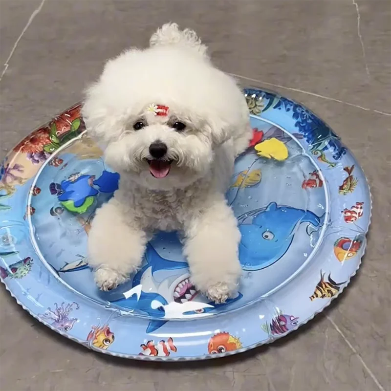 Tapete Inflável para Cães e Gatos com Água para Refrescar - Image 5