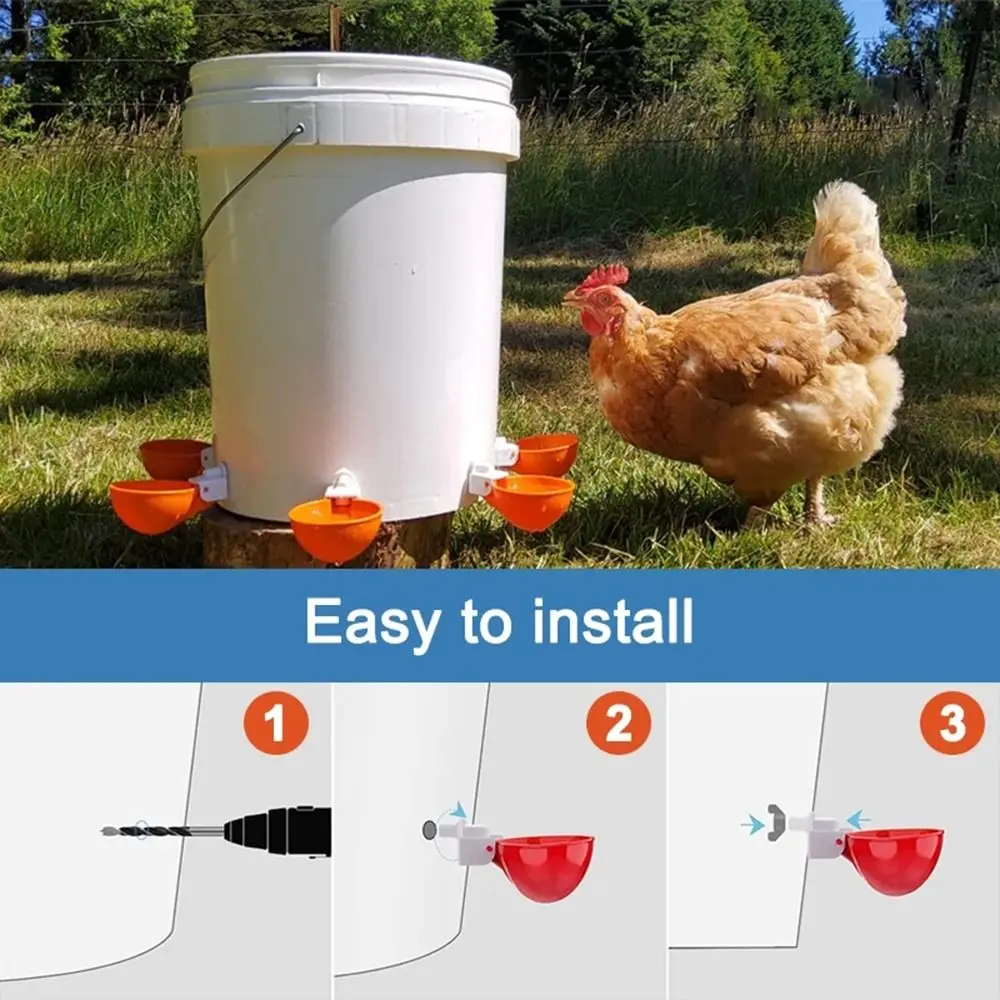 Bebedouro Automático para Aves de Plástico com 4 Peças - Imagem 2