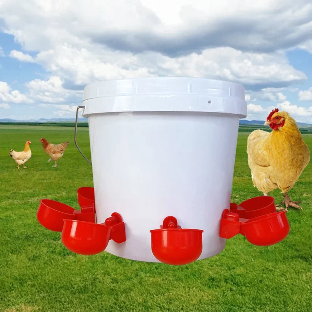 Bebedouro Automático para Aves Anti-Poluição 10,5x4cm - Imagem 4