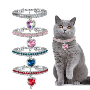 coleira diamante para gato