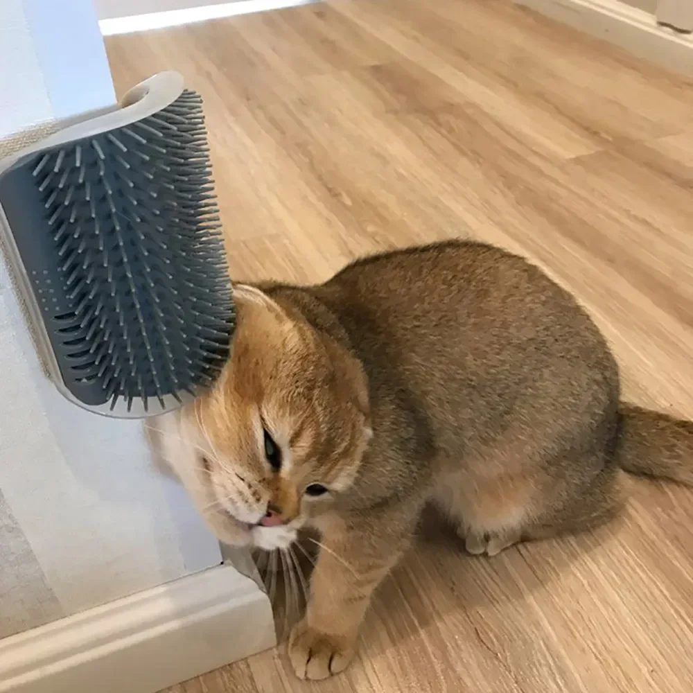 Escova Massageadora de Canto para Gatos 15,5 cm com Arranhador - Imagem 3