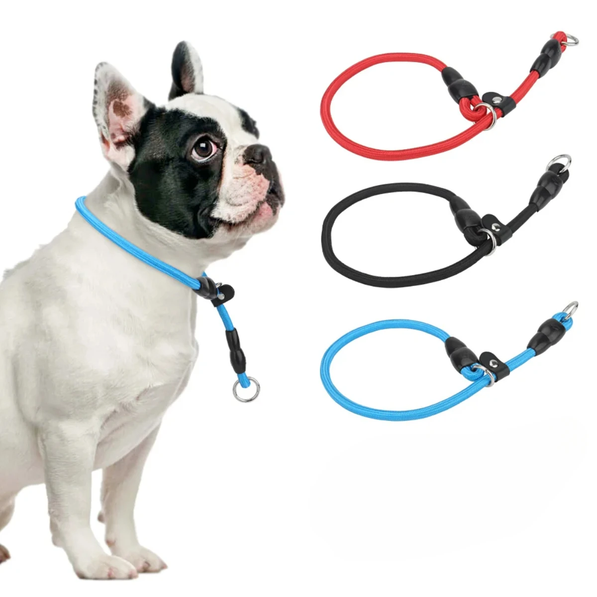 Coleira de Nylon para Cães Ajustável para Caminhada - Imagem 2
