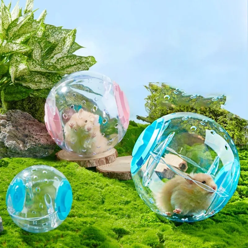 Bola de Exercício para Hamster Transparente com Corda de Tração - Imagem 2