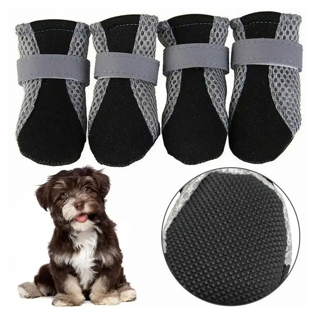 sapatos para cães antiderrapantes
