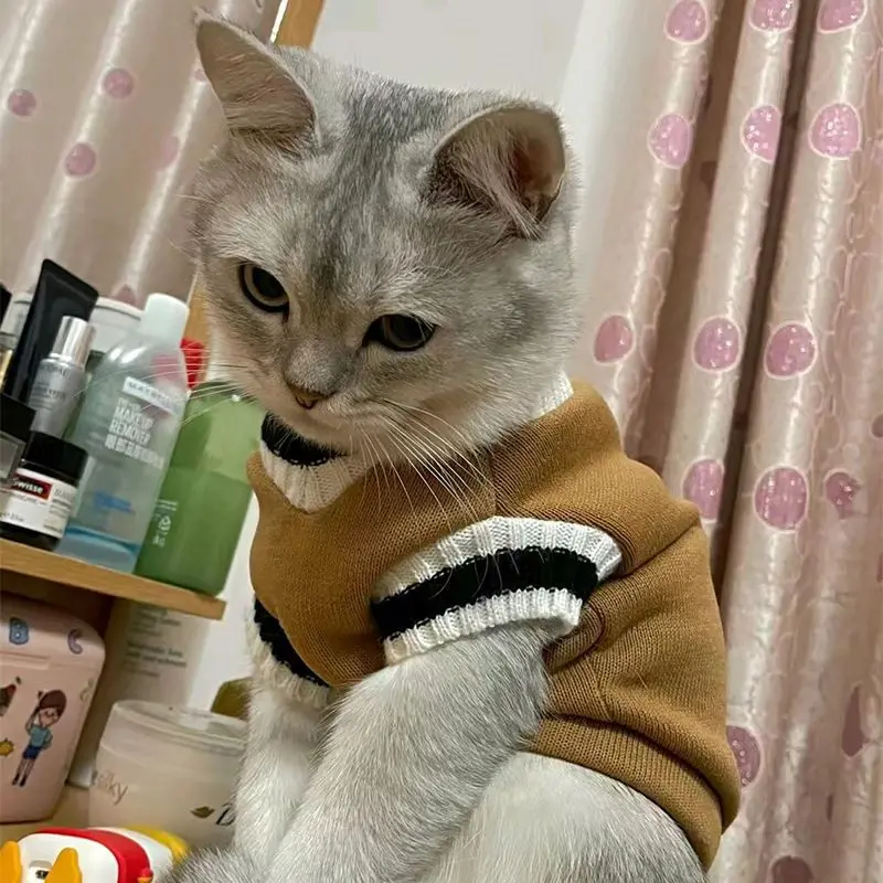 Suéter de Malha para Cães Pequenos e Médios Acolchoado - Imagem 5