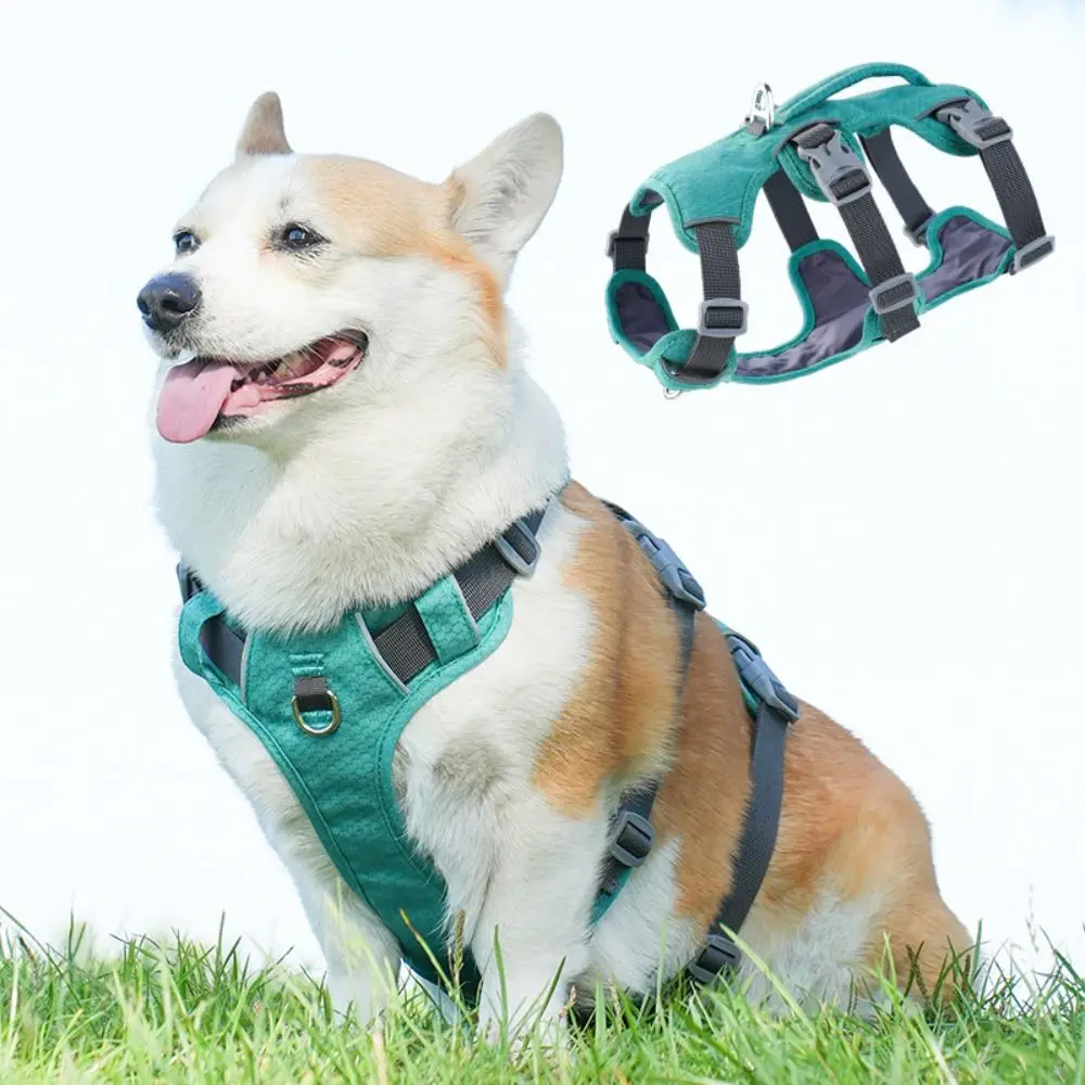 Colete Refletivo para Cães de Nylon com Alça e Ajuste Regulável - Image 4