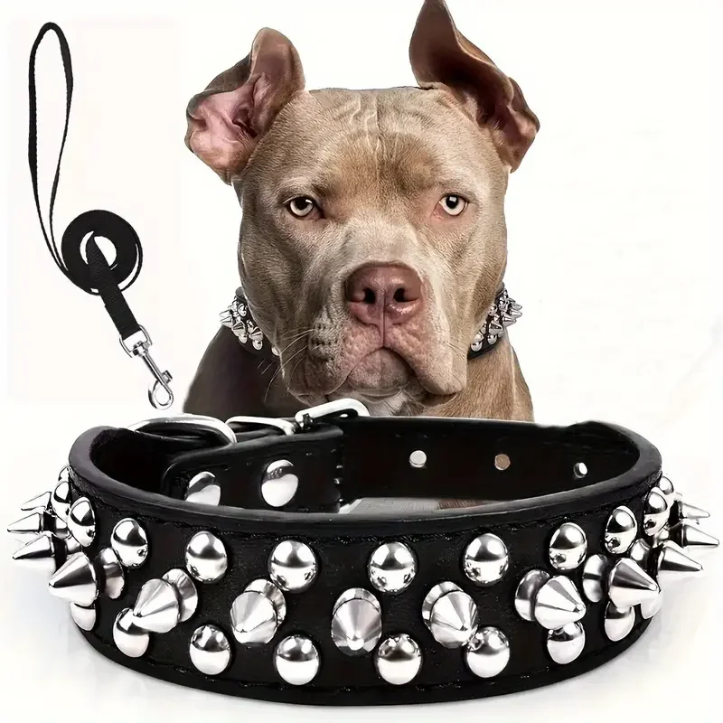 coleira de couro ajustável para cães