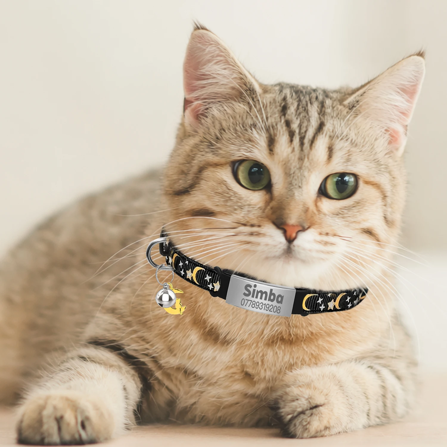 Coleira para Gatos e Cães Pequenos Brilhante com Gravação Gratuita - Image 3