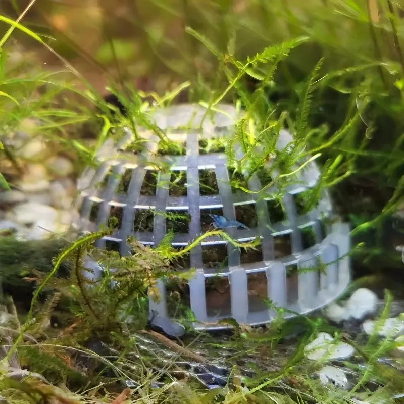 filtro de bola de musgo para aquário