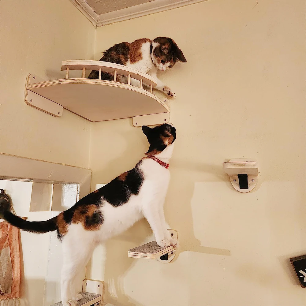 Prateleira para Gatos de Parede com Poste Arranhador - Image 6