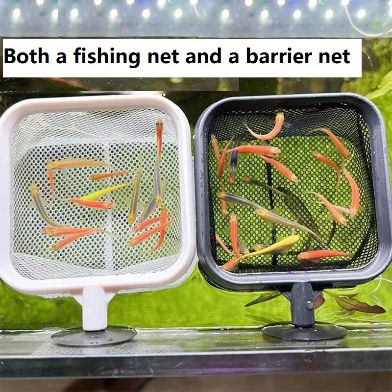 Rede para Aquário de Peixes e Camarões para Limpeza - Imagem 4