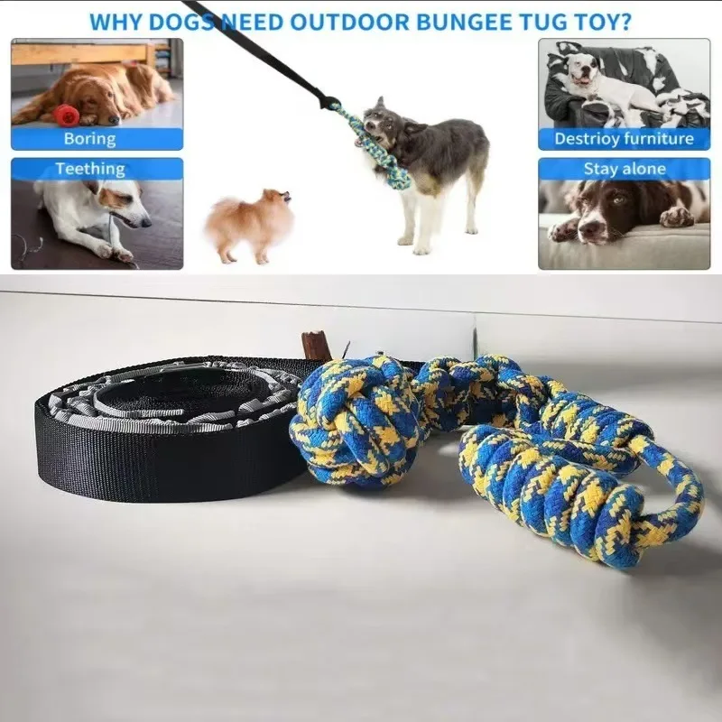 Brinquedo de Rebocador Bungee para Cães Pequenos e Grandes - Imagem 5