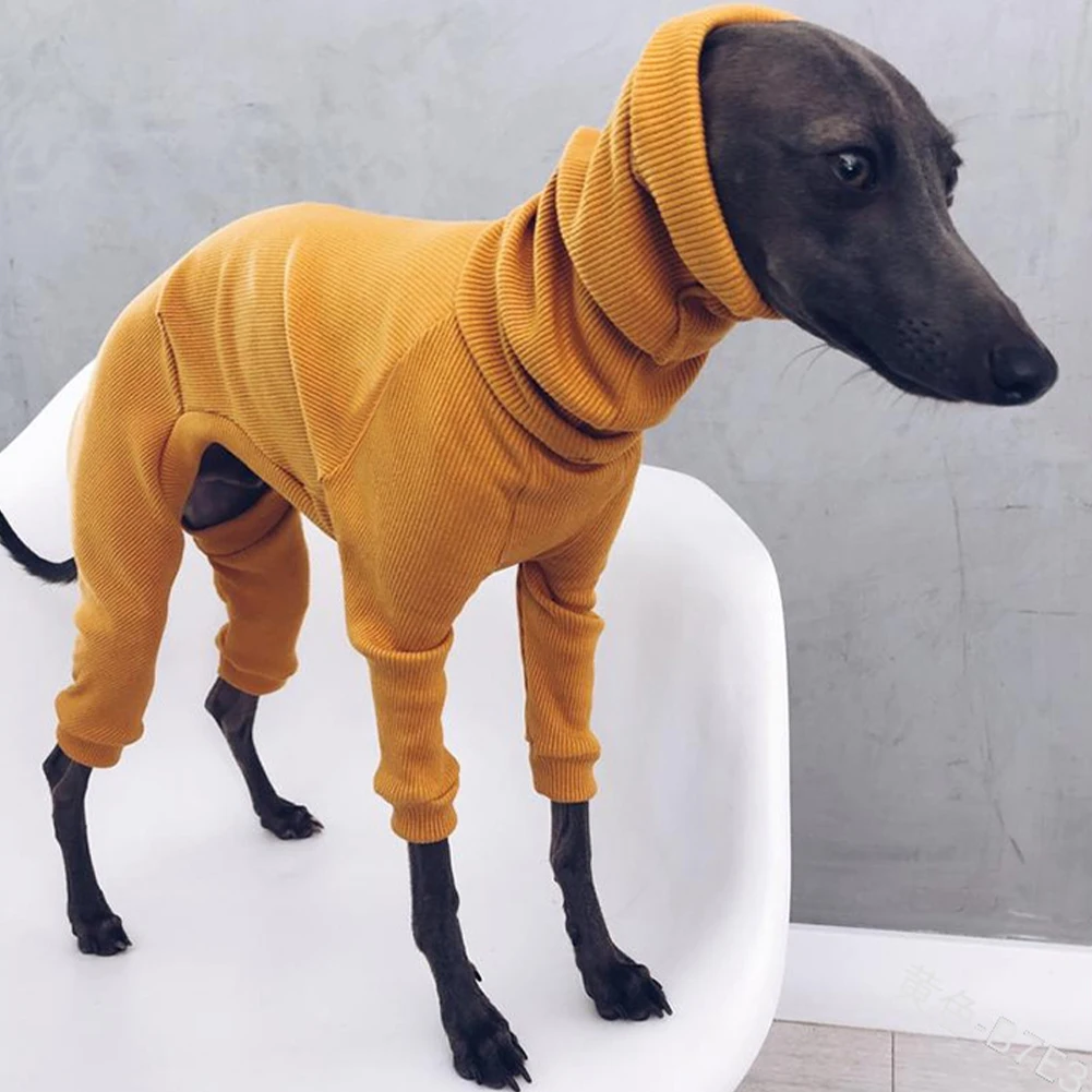 Suéter para Cães Grandes de Algodão com Gola Alta e Quatro Pernas - Imagem 4