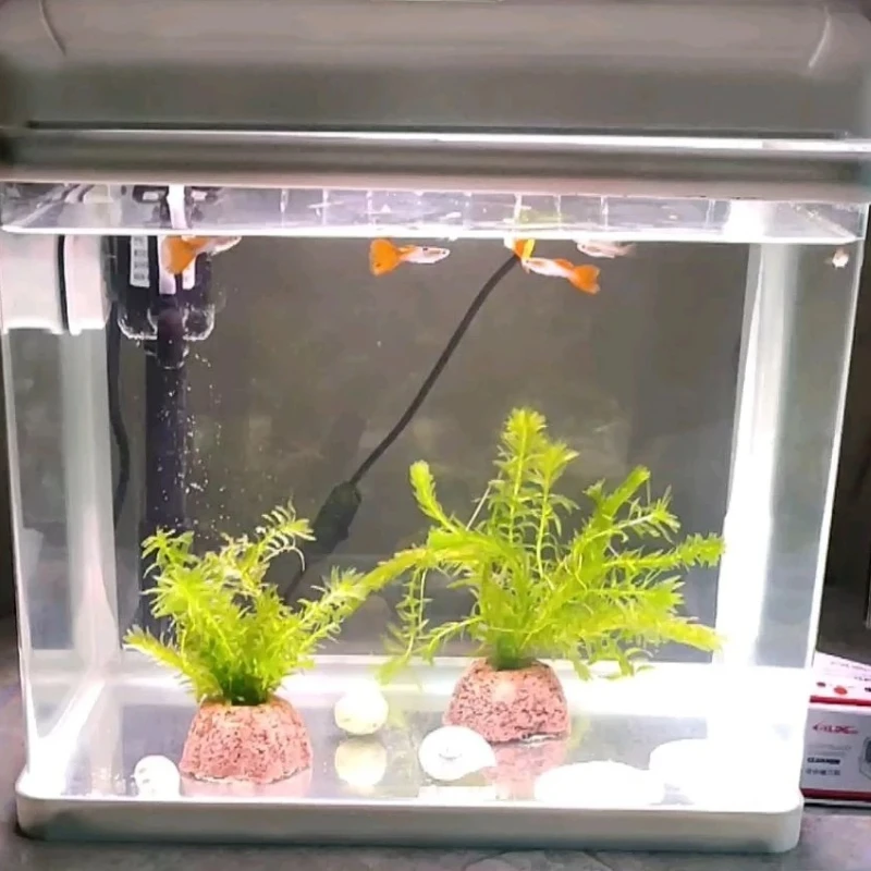 Anel de Cerâmica para Plantas de Aquário com Peso para Submergir - Imagem 6