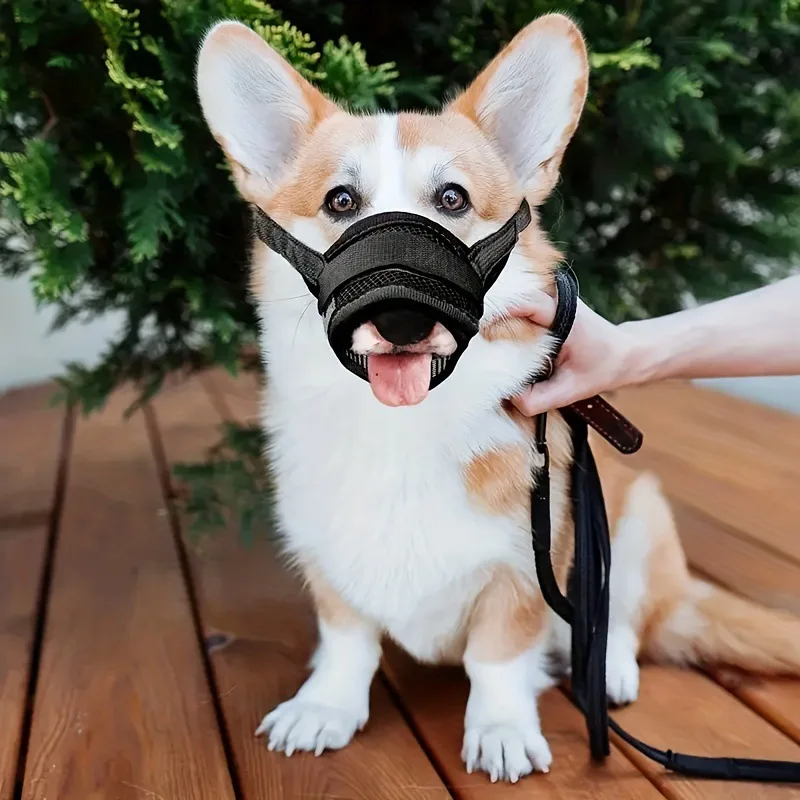 Focinheira para Cães de Malha Respirável Ajustável - Image 6